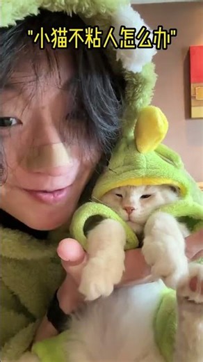 How to Handle a Non-Clingy Kitten: A Maine Coon's Guide