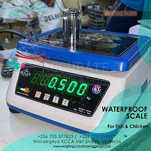 Multiple weighing units waterproof scale prices