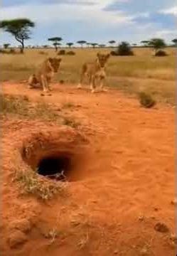 Bangla Dance | Stage Dance | DJ Music | Live Performance |