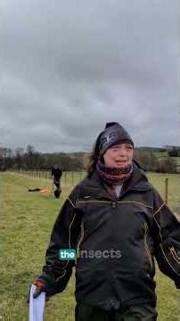 Help save Rhosgoch 🐝