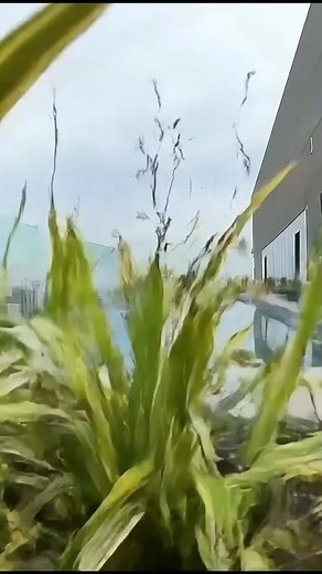 Ontem, fui conhecer o Funchal 641 apartments. O empreendimento está quase pronto e no rooftop estão a piscina, a sauna, a academia e uma vista incrível da cidade. O Funchal 641 fica a poucos metros do Shopping JK e da Faria Lima. Uma ótima oportunidade para quem está buscando uma base em São Paulo, perto do novo centro financeiro da capital do estado. Quer conhecer o Funchal 641? Agende sua visita comigo! *Vídeo criado com ferramenta de I.A. a partir das fotos do local. * Créditos do vídeo: @dou