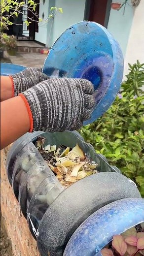 soil composit. banana tree