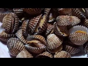 How To Cook Cockles (See-ham)
