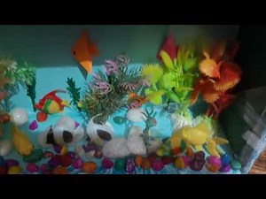 Class 1 SUPW project (paper aquarium)