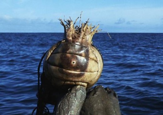 Wilson! 'Cast Away' volleyball is up for auction