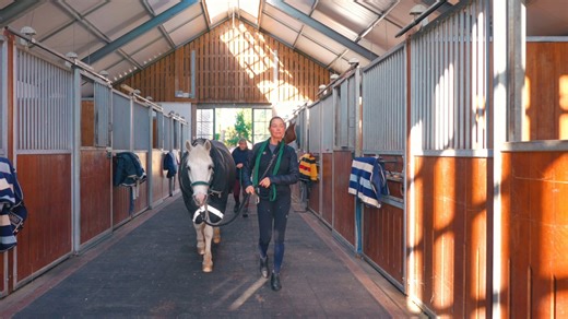 Equestrian homes are always targeted by criminals as they are often #ruralproperties that are not overlooked and often these #ruralhome have tack or other expensive equipment. In this video you will see a #traineddog from K9 Protector doing what we do best which is adding an unmatched layer of #security to this #equestrian #property. #equestrianlife #Polohorses #dressage #dressagehorse #dressagerider #equestrianstud #horses #BurglaryPrevention #burglary #showhorses #protectiondogs #dogtraineruk 