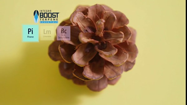 Integra Boost - Pinene Infuser Humidity Packet - Essentials Two-Way Humidity Control - Maintains 62 Percent Relative Humidity for Food & Herbs Storage