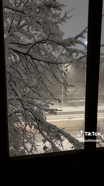 Captivating Winter Snowfall Moments