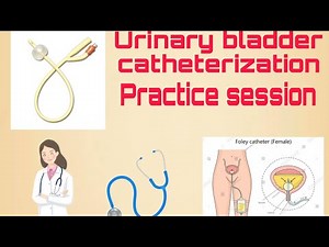 Urinary bladder catheterization practical