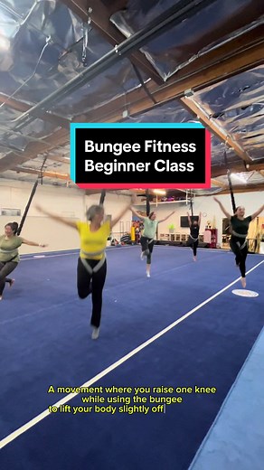 Bungee Fitness Beginner Class Movements in San Diego
