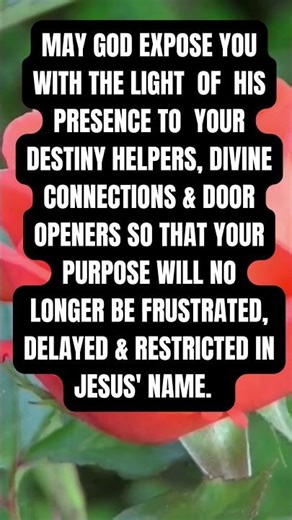 The Light of God is Your Portion-Prophetess Nicole McLeary