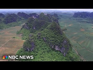 Researchers work to find how ‘real King Kong’ ape went extinct