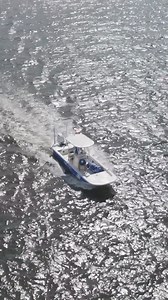 Ever wondered what really goes into an ocean cleanup? Join CEO and Co-Founder Alex J Schulze for a behind-the-scenes look at a cleanup operation in Boynton Beach, FL. From the nitty-gritty of maneuvering trailers and preparing to the best practices for removing plastic from mangroves, get an up-close view of what it takes to tackle plastic pollution. Watch now on YouTube 🔗 https://go.4ocean.com/48r3mUz | 4ocean