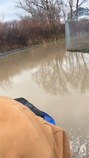 going for a swim | Maggie-Rae Mcintyre