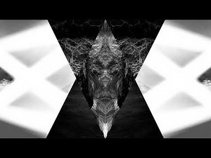 AFRODEUTSCHE - CAN'T STOP (Official Music Video)