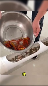 Made Luxury Fish Table 😲