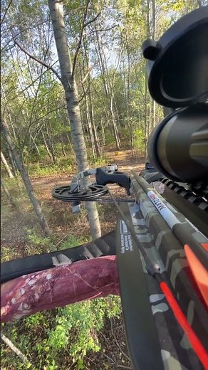 Shooting wicked ridge m370