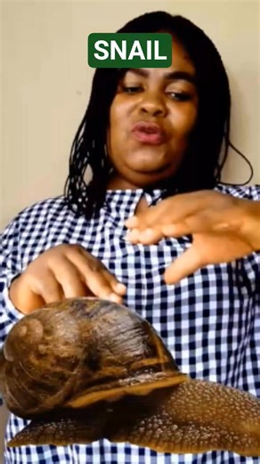 How to sign Snail in sign language #viralvideo #tutorial #asl #signlanguage | Deaf Interpreter