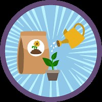 Improve Automations with External Activity Data