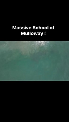 43K views · 242 reactions | The Mouth of the Murray has some massive schools of Mulloway at times !  Kevin Clark | Fishing Australia TV | Facebook