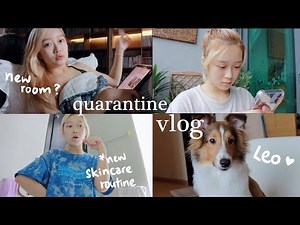 VLOG 在家的日常🏠｜不断吃吃吃的8月份🍕｜Updated Skincare Routine✨