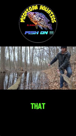 Finding The DEVIL Crayfish!! FULL VIDEO OUT TODAY!🦞🐸❤️#crayfish #natureaquarium #aquarium