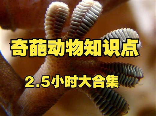 【生物】2.5小时动物特性大合集。