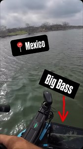 5.6K views · 211 reactions | #fishing | Professional Angler Scott Martin / Scott Martin Challenge TV | Facebook