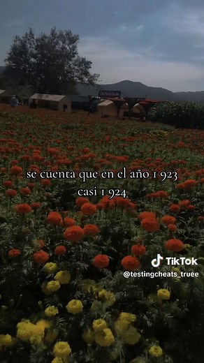 La Leyenda de la Puchaina Negra: Teoría y Significado