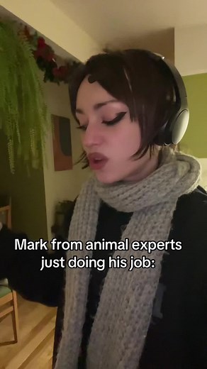 Discover the Smallest Owl in the World