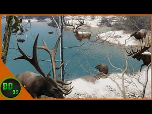 The MOST ULTIMATE TREE STAND Hunt On The Alberta RIVER SYSTEM! Call Of The Wild