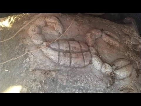 GİZEMLİ DEFİNE İŞARETLERİ ÇÖZÜYORUZ! Treasure Hunt