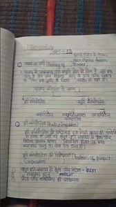 class 1 1 economic chapter 4 consumer