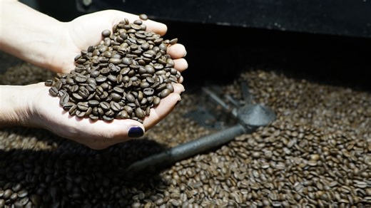 Australia is a coffee-drinking nation but hardly any of it comes from here. There is a push to change that