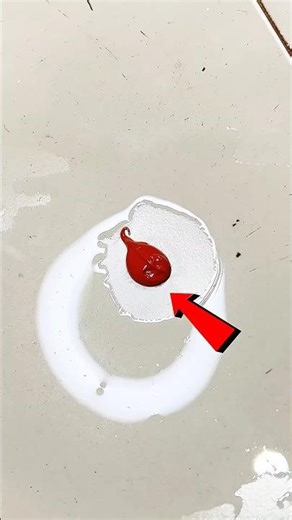 Toothpaste on a Paper Bot Surprising Result...