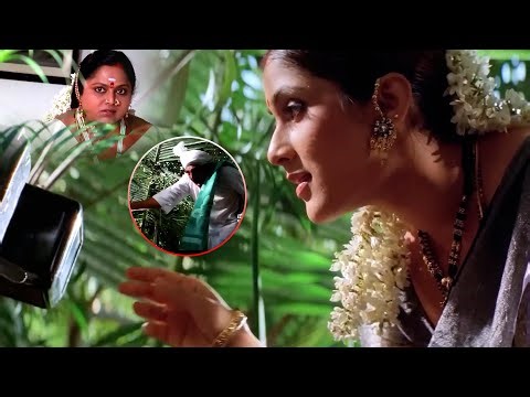 Keerthi Reddy And Prakash Raj Current Comedy scene | Telugu Comedy Scenes | ‪@idreamcomedy‬