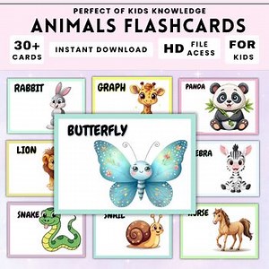 Animal Flashcards for Kids | Preschool & Kindergarten Learning Cards  Printable