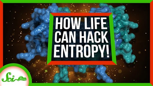 How cells hack entropy to live