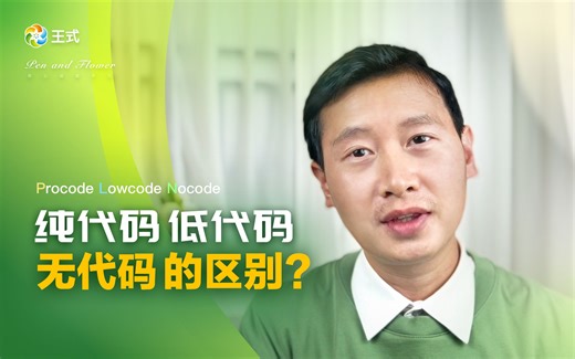 纯代码(Procode)、低代码(Lowcode)、无代码(Nocode), 三者之间的区别?