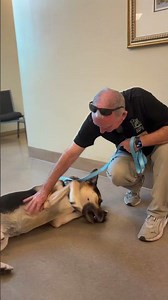 Smokey's Adoption Transport
