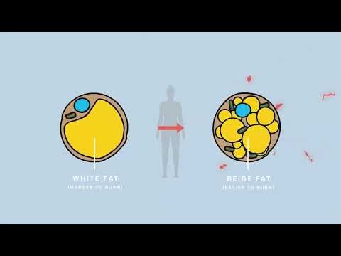 LifeVantage Fat Burn | Eat Sleep Exercise Repeat US EN