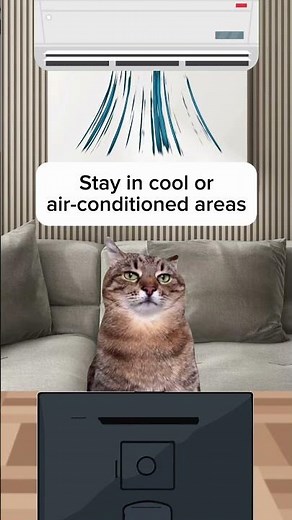 Tips To Beat The Summer Heat