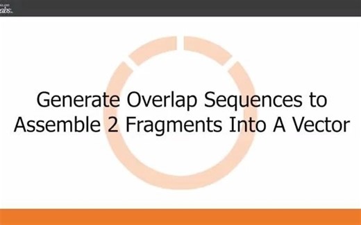 NEBuilder 在线引物设计工具 2.0 版之 PCR 扩增片段引物设计