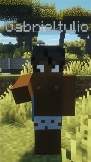 Minecraft ele tá um verdeiro caos #minecraft #humor #memes