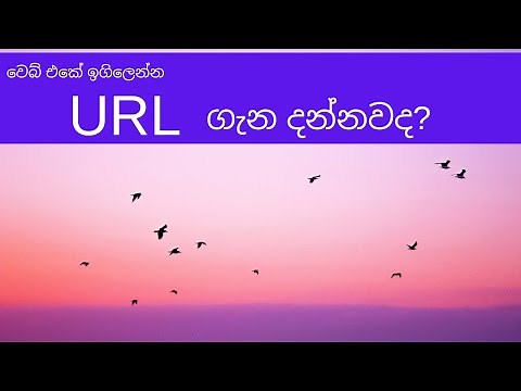 What is URL - in Sinhala