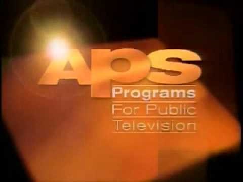 American Program Service logo (1994)