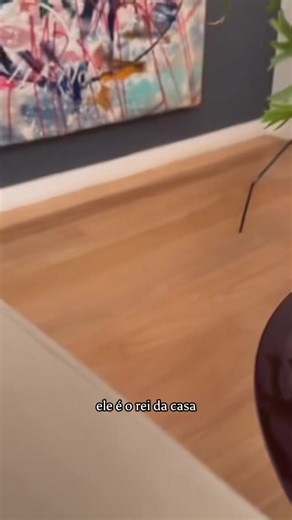 200K views · 10K reactions | Como tutores de Pets, temos que entender que cada um tem a sua personalidade!  Aqui em casa, nessa época de férias, a bicharada se reúne e vira uma festa! Eles trazem alegria mas também temos que ter paciência com a diversidade! Veja o vídeo… #Pet #Gatos #Pensata #Viral #Gatinhos #PetEmCasa #Tutor #Cats | Silvia Poppovic | Facebook