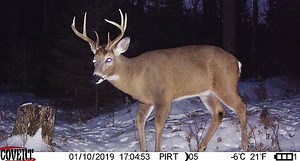Trail Cam Tuesday: 10 New Captures Submitted by Our Readers