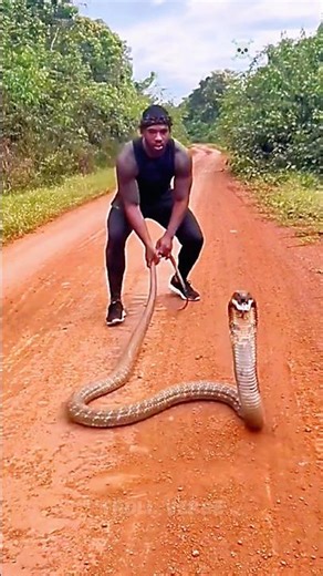 snake transformation☠️