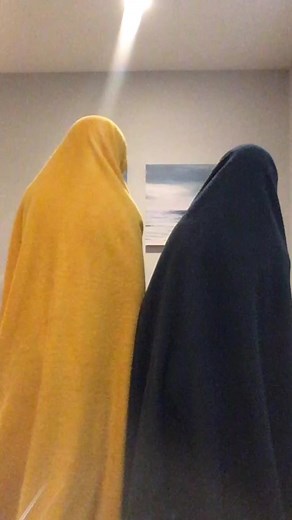 The cheeses on TikTok